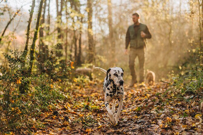 Truffle hunting for Nature Enthusiasts - An Introduction to the Tour