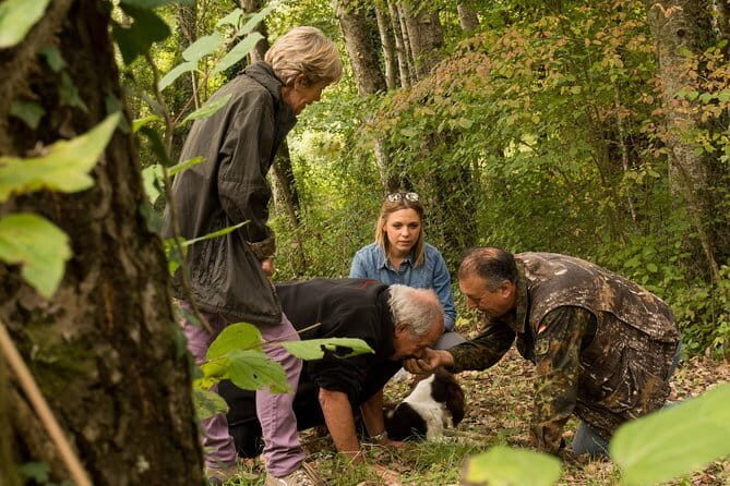 Truffle hunting + gourmet tasting (transfer included) - A Deep Dive into the Truffle Hunting & Gourmet Tasting Tour near Florence