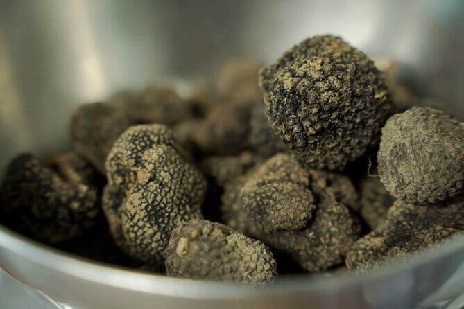Truffle hunting + gourmet tasting (transfer included) - The Authentic Experience: What Travelers Say