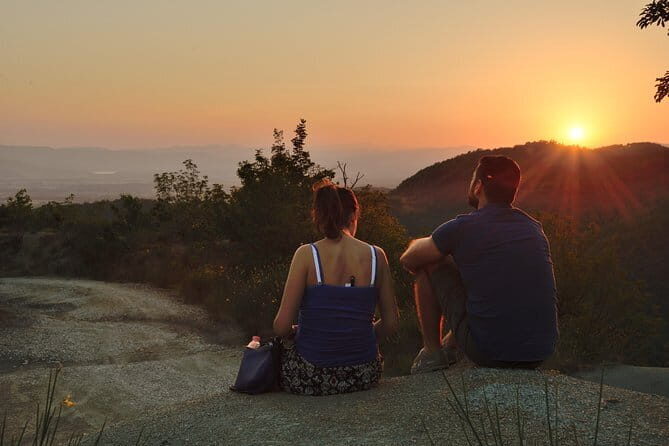 Truffle hunting + gourmet tasting (transfer included) - Price & Value