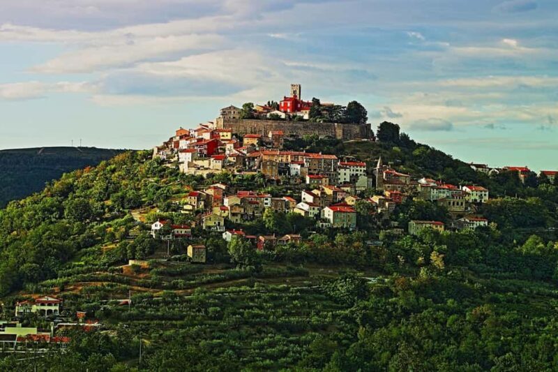 Truffle hunting in Istria private experience - An Overview of the Experience
