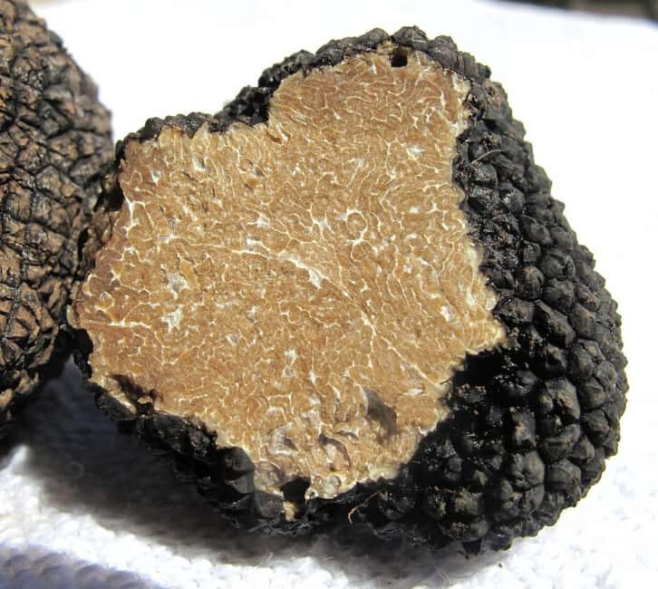 Truffle hunting in Istria private experience - Who Will Love This Experience?