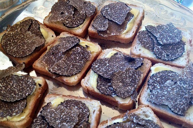 Truffle Hunting in Provence - Why Travelers Love This Experience