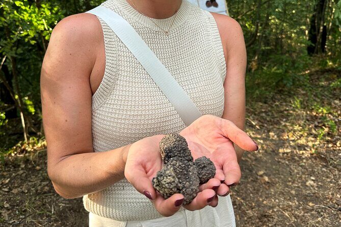Truffle Hunting in San Gimignano - Frequently Asked Questions