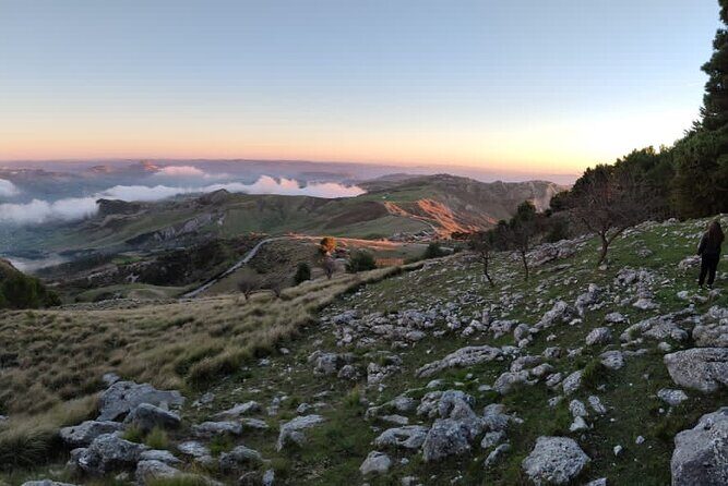 Truffle hunting in the Sicani mountains: a unique experience in Sicily - Final Thoughts