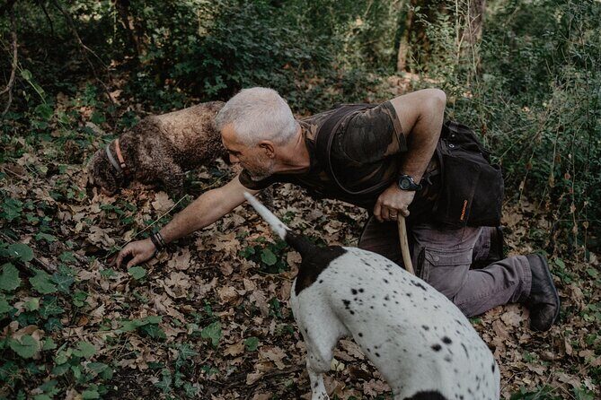 Truffle Hunting in Tuscany - Key Points