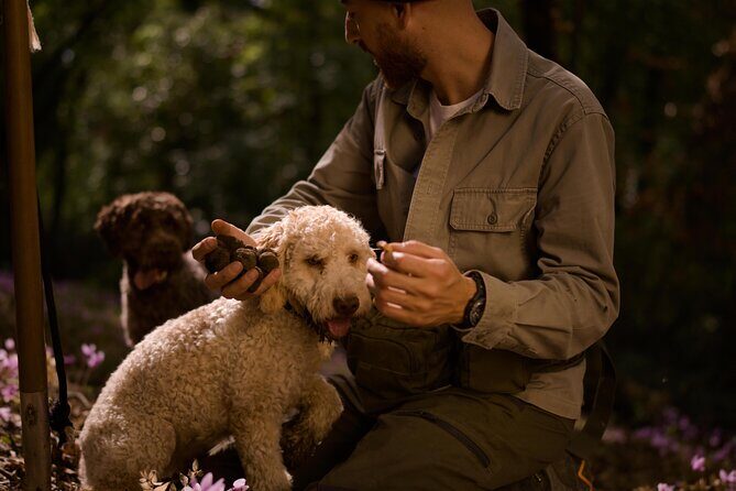 Truffle Hunting, Lunch & Cooking Class in Rome's Countryside - Key Points