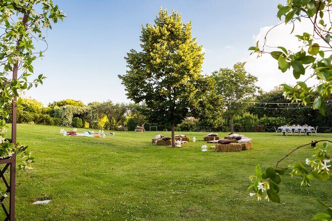 Truffle Hunting, Lunch & Cooking Class in Rome's Countryside - Potential Drawbacks or Considerations