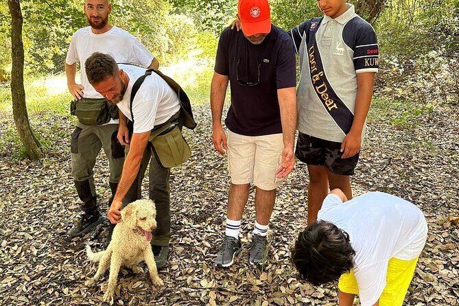 Truffle Hunting, Lunch & Cooking Class in Rome's Countryside - Who Will Love This Tour?