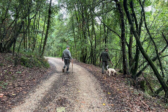 Truffle Hunting, Lunch & Cooking Class in Rome's Countryside - Final Thoughts: Is It Worth the Price?