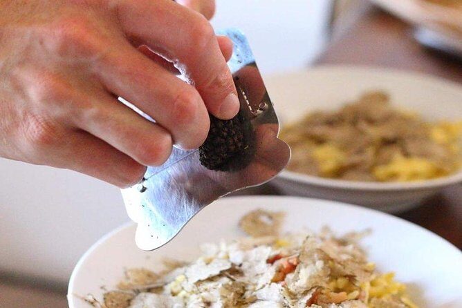 Truffle hunting near Rome - Experience the Charm of Truffle Hunting Near Rome