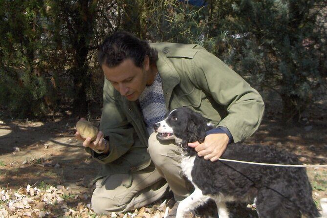 Truffle Hunting & Tasting in San Miniato Tuscany with Dogs - A Thorough Look at the Truffle Hunting & Tasting Tour