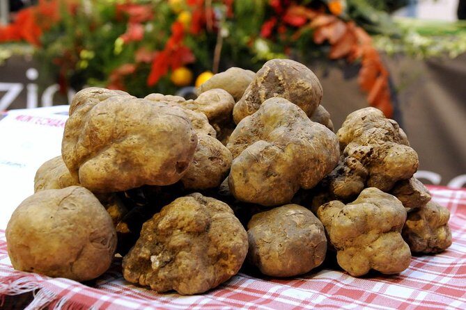 Truffle Hunting with Tasting Included - Umbria, Italy - Authentic Experiences and Authentic Flavors