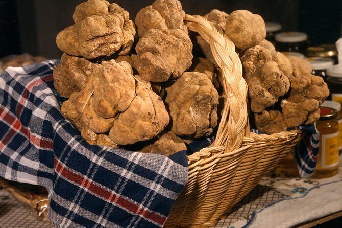 Truffle Hunting with Tasting Included - Umbria, Italy - Who Will Love This Tour?