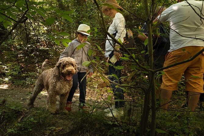 Truffle Picking Experience with 3 Course Meal in Chianti hills - An Authentic Truffle-Picking Adventure in Tuscany’s Chianti Hills