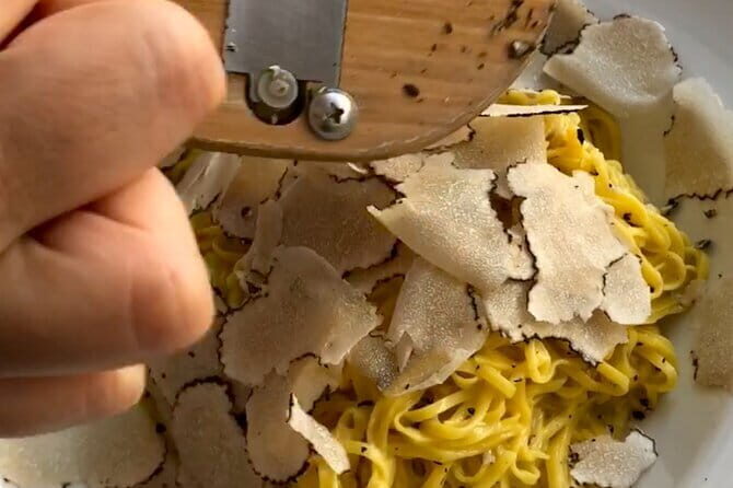 Truffle Picking Experience with 3 Course Meal in Chianti hills - The Sum Up: Who Is This Tour For?