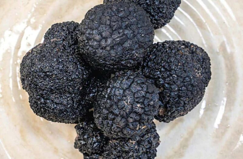 Truffle Tasting & Museum Tour in Umbria, near Perugia - FAQ