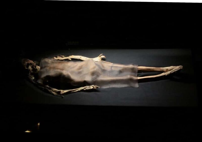 Trujillo: El Brujo Complex Archaeological Tour with Tickets - Who Should Consider This Tour?