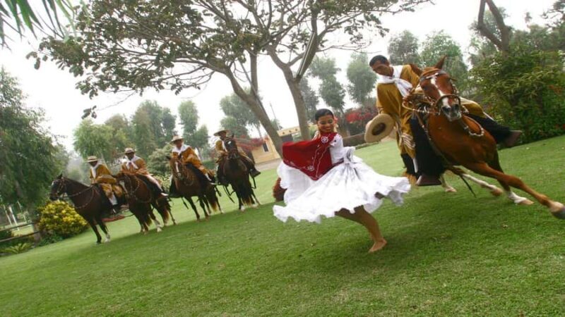 Trujillo: Show of Peruvian Paso Horse & Marinera with lunch - Experience the Heart of Trujillo’s Culture: Peruvian Paso Horses & Marinera Dance