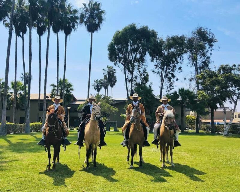 Trujillo: Show of Peruvian Paso Horse & Marinera with lunch - Key Points