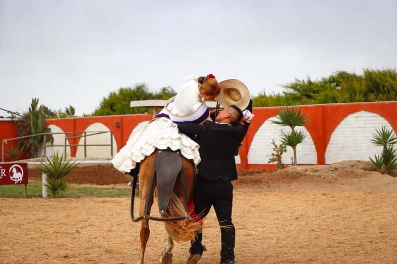 Trujillo: Show of Peruvian Paso Horse & Marinera with lunch - The Sum Up: Who Is This Tour Best For?