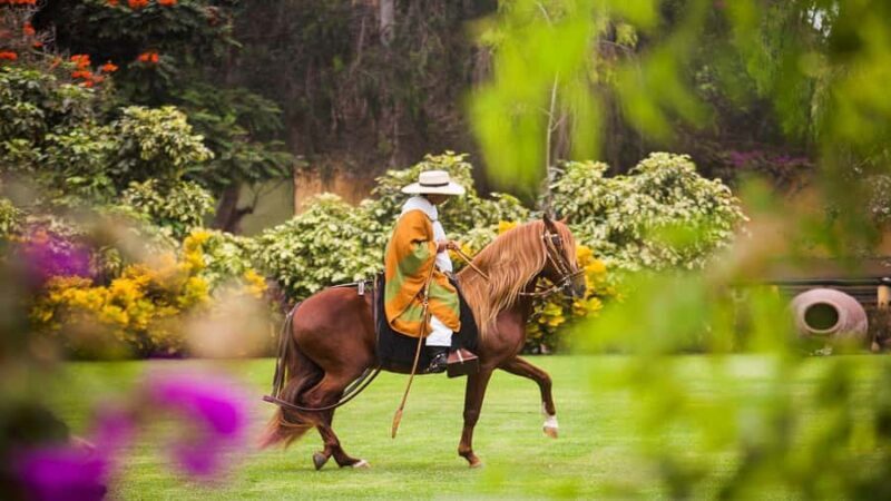 Trujillo: Show of Peruvian Paso Horse & Marinera with lunch - FAQ