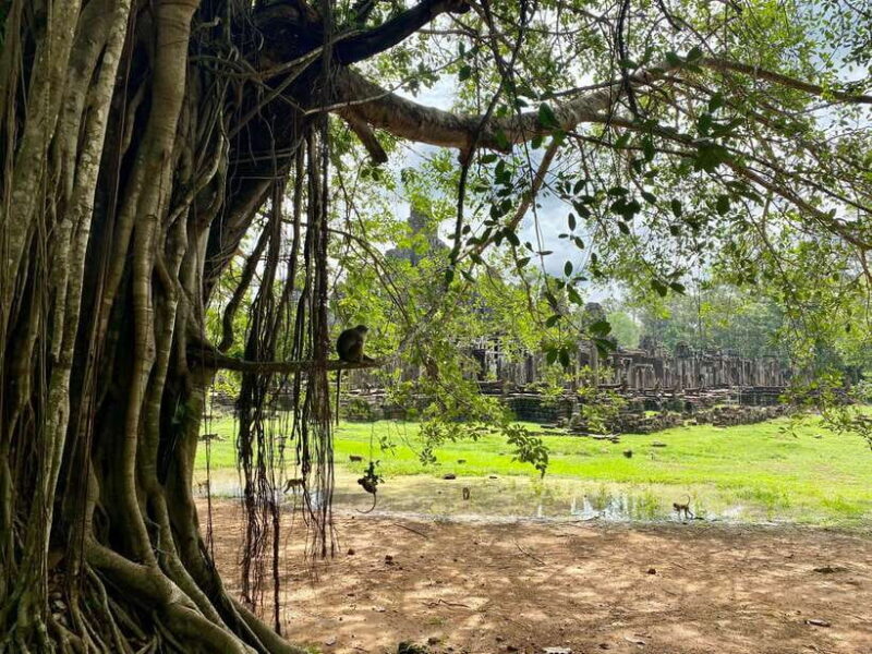 Trusty Tuk Tuk - Authentic Experience and Practical Tips