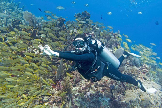Try Dive in Cancun Underwater Museum - A Deep Dive into the Experience
