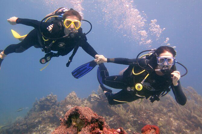 Try Dive in Cancun Underwater Museum - Final Thoughts