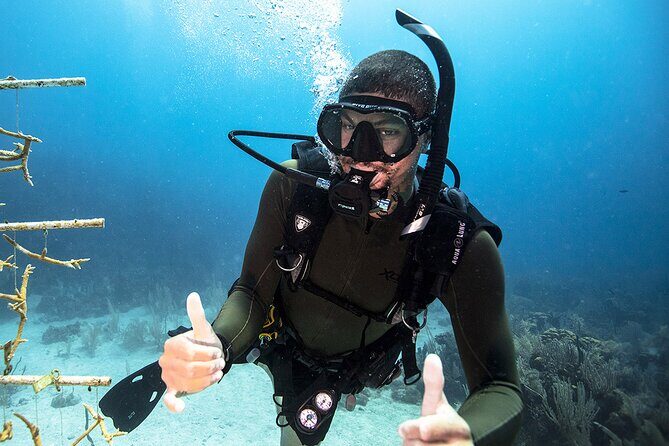 Try Dive - Scuba Diving with a private guide, incl. photos - Discover the Underwater World at Green Bay on Cyprus