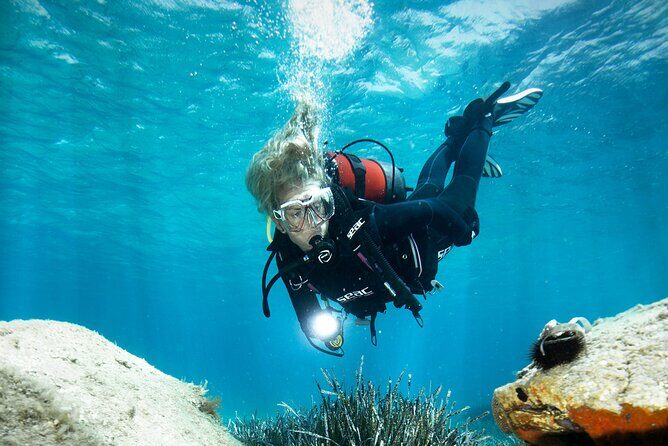 Try Dive - Scuba Diving with a private guide, incl. photos - Who Will Enjoy This Tour?