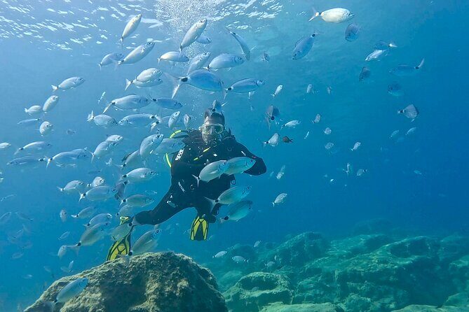 Try Dive - Scuba Diving with a private guide, incl. photos - In Summary