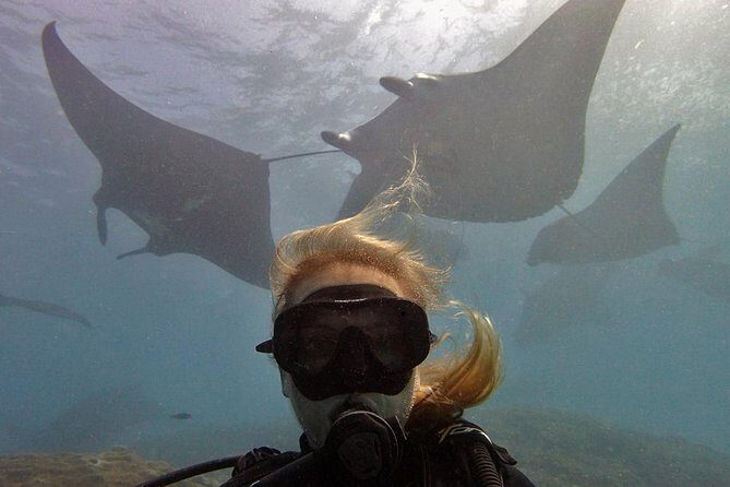 Try Dive with Manta Rays in Bali - Final Thoughts: Who Is This Tour For?