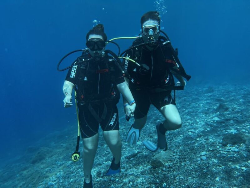Try diving for the first time in turtle area - Try diving for the first time in turtle area