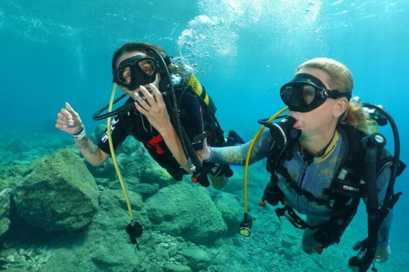 Try diving for the first time in turtle area - Who is this tour best suited for?