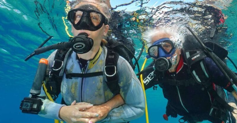 Try diving for the first time in turtle area - FAQ