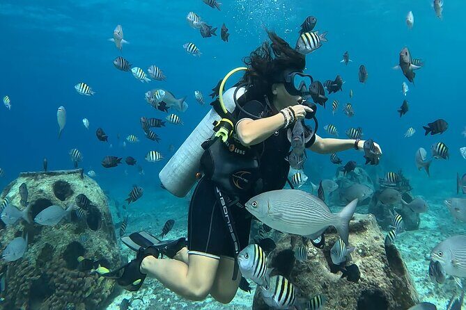 Try diving without previous experience from shore - Key Points