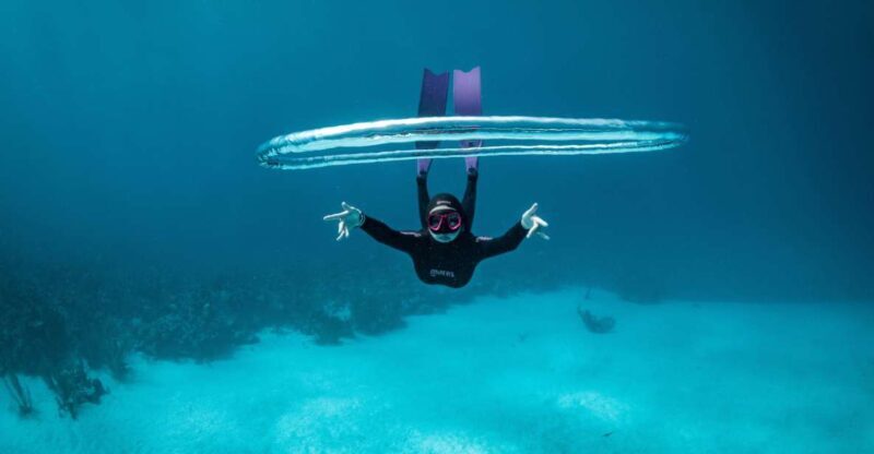 Try Free Diving in the Island of the Big Blue - Try Free Diving in the Island of the Big Blue: A Hands-On Introduction to Freediving in Greece
