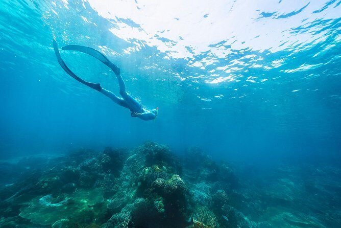 Try Freediving on Nusa Penida - Why This Tour Stands Out