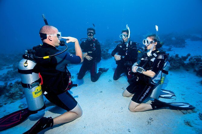 Try Scuba Dive (baptism of the sea) - In-Depth Look at the Experience
