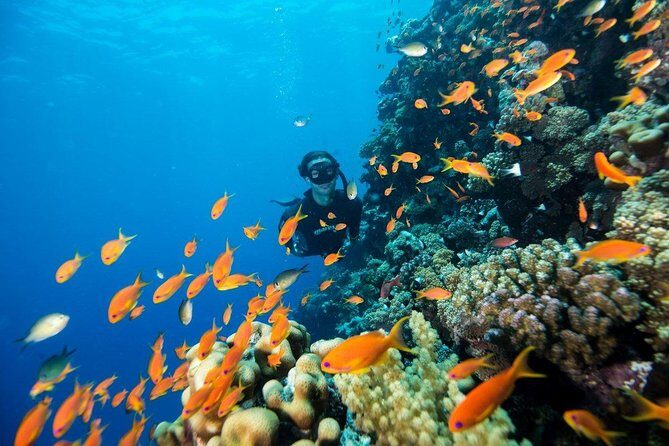 Try Scuba Dive (baptism of the sea) - FAQ