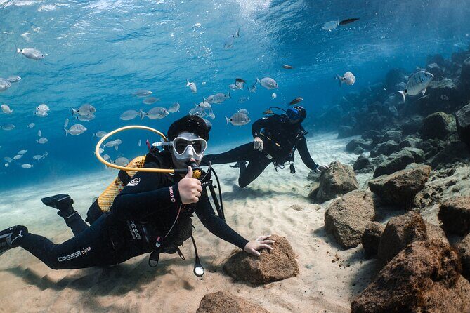 Try Scuba Diving | 1 dive - Final Thoughts
