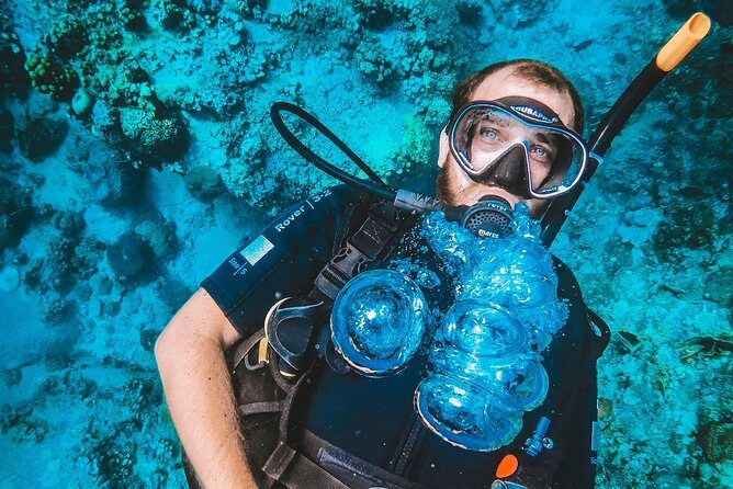 Try Scuba Diving - Final Thoughts: Is It Worth It?