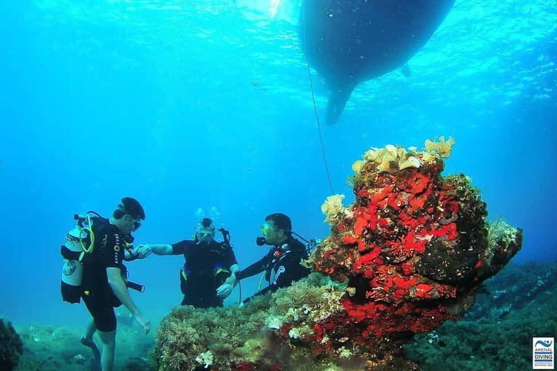Try Scuba Diving and Snorkeling boat trip in Ibiza - Final thoughts