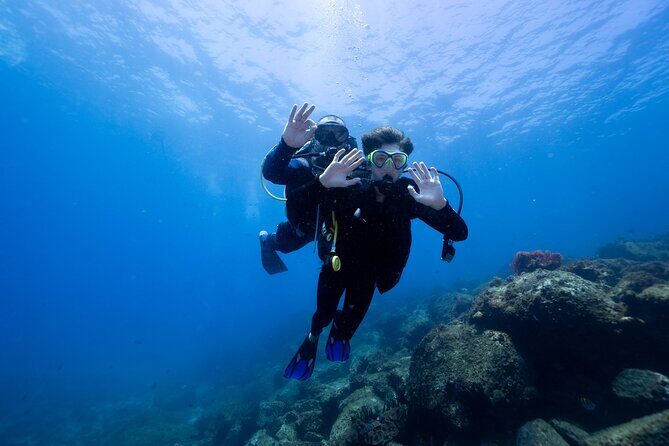 Try Scuba Diving at Cook Island  Guided Ocean Dive with Turtles - Key Points
