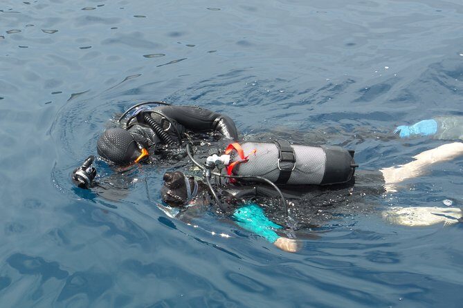 Try Scuba Diving! - Crikvenica/ Krk island - Authentic Experiences from Travelers