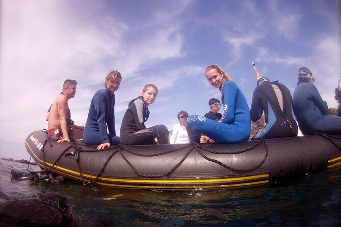 Try Scuba Diving in a turtle area (boat) - An In-Depth Look at the Tenerife Scuba Experience