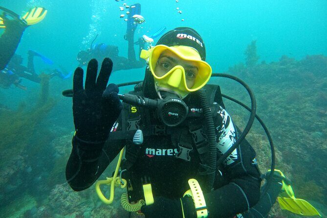 Try Scuba Diving in Arrabida Natural Park (Near Lisbon) with pictures - The Personal Touch: Why Guides Matter