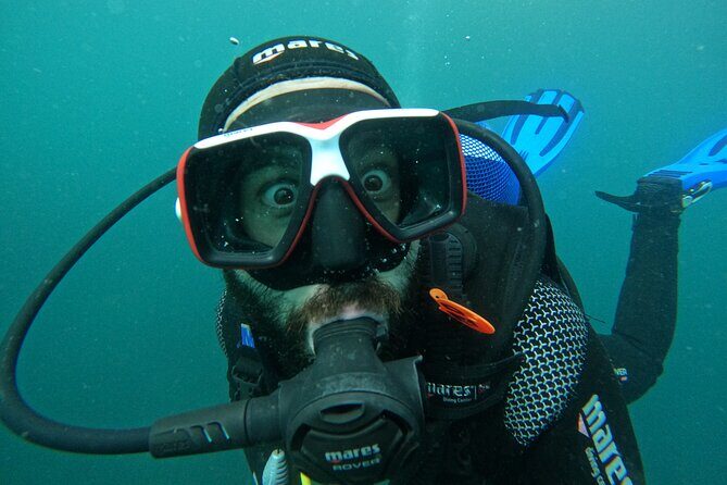 Try Scuba Diving in Arrabida Natural Park (Near Lisbon) with pictures - Practical Details to Keep in Mind