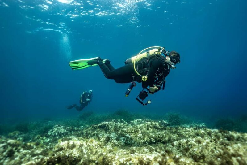 Try Scuba Diving in Cala d'Or  No Experience Needed - Why Choose This Tour?
